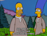 homer simpson episode 13 GIF