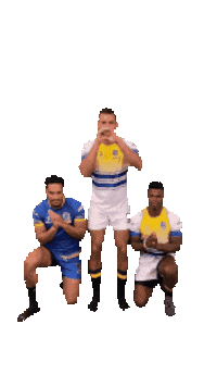 rugbybrasil sport brasil rugby esporte Sticker