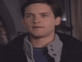 Spiderman Are You Serious GIF