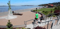 Washington State GIF by 50statesproject