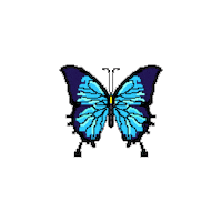 Dj Snake Summer Sticker