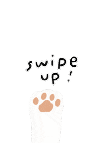 Cat Swipe Up Sticker