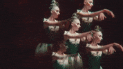 dance ballerina GIF by New York City Ballet