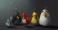 Angry Birds GIF