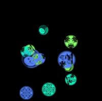 Potjekriezus GIF