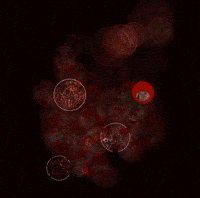 Potjekriezus GIF