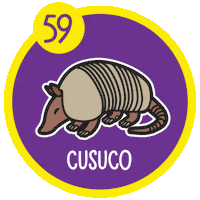 Armadillo Premia2 Sticker by Loto Honduras