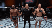 Vicente Luque Sport GIF by UFC