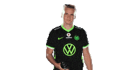 E Sports Sport Sticker by VfL Wolfsburg
