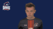 rmuathletics rmu robert morris robert morris university GIF