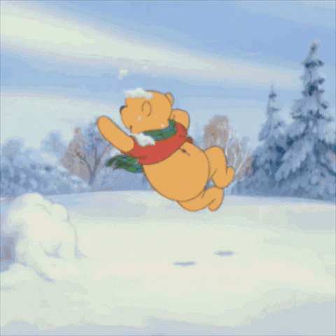 GIF by INACH