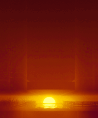 GIF by Carl Burton