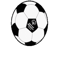 Sport Ball Sticker by Special Olympics Belgium