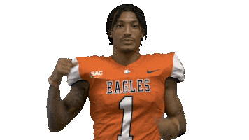 Nfl Preseason Thumbs Up Sticker by Carson-Newman Athletics