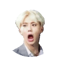exo STICKER by imoji