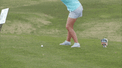 wave athletics GIF by GreenWave