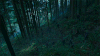 GIF by War for the Planet of the Apes
