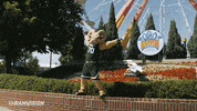 csu rams denver GIF by Colorado State Rams