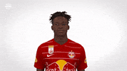 Red Bull GIF by FC Red Bull Salzburg