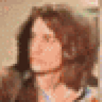 gifs for ants GIF