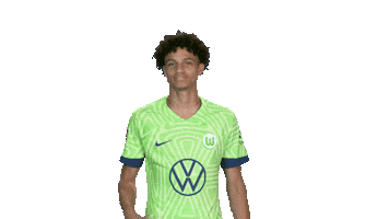 Oh No Football Sticker by VfL Wolfsburg