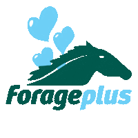 Brand Love Sticker by Forageplus