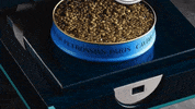 caviar noÃ«l GIF by Petrossian