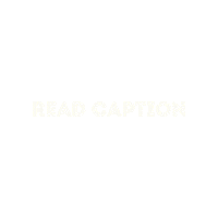 Read Caption Sticker by BeeCat Creative