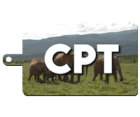 Travelliebe travelliebe Sticker