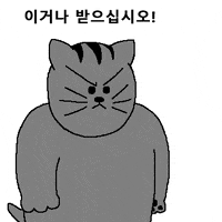 Cat Heart GIF