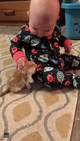 Baby Bonds With Rescue Kitten in Adorable Video