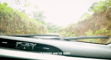 viceland GIF by JUNGLETOWN