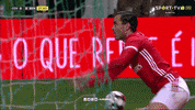 Look At It Sl Benfica GIF by Sport Lisboa e Benfica
