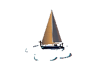 baja california mexico Sticker by Wild Canyon