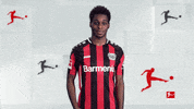 Happy Made You Look GIF by Bundesliga