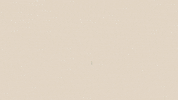 Fitness Health GIF by RENPHO