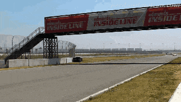 cat car GIF by Cheezburger