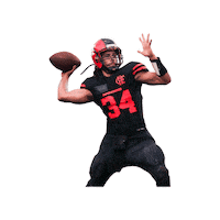 Flamengofa football ff flamengo bfa Sticker