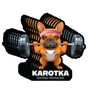 karotka_stargard karotka karotka stargard centrum treningowe karotka karolina wolanska Sticker