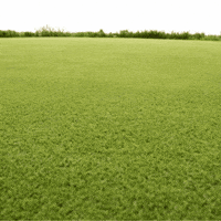 Shooting Star Stars GIF by TeaCosyFolk