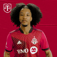 Major League Soccer Yes GIF by Toronto FC