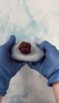 Marfa_mold mold GIF