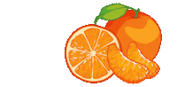 Summer Rotate Sticker by Svoltastudenti