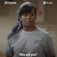 Greys Anatomy Doctor GIF by ABC Network