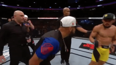 ufc 213 GIF