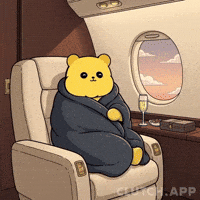 Flying First Class GIF by Kanpai Pandas
