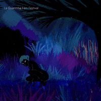 Show Me What GIF by La Guarimba Film Festival