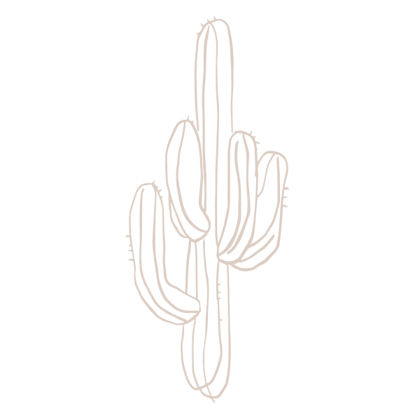 desert cactus Sticker by Spell & The Gypsy Collective