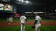 Willy Adames Win GIF by MLB