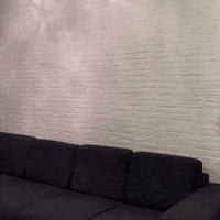 Premier League Soccer GIF